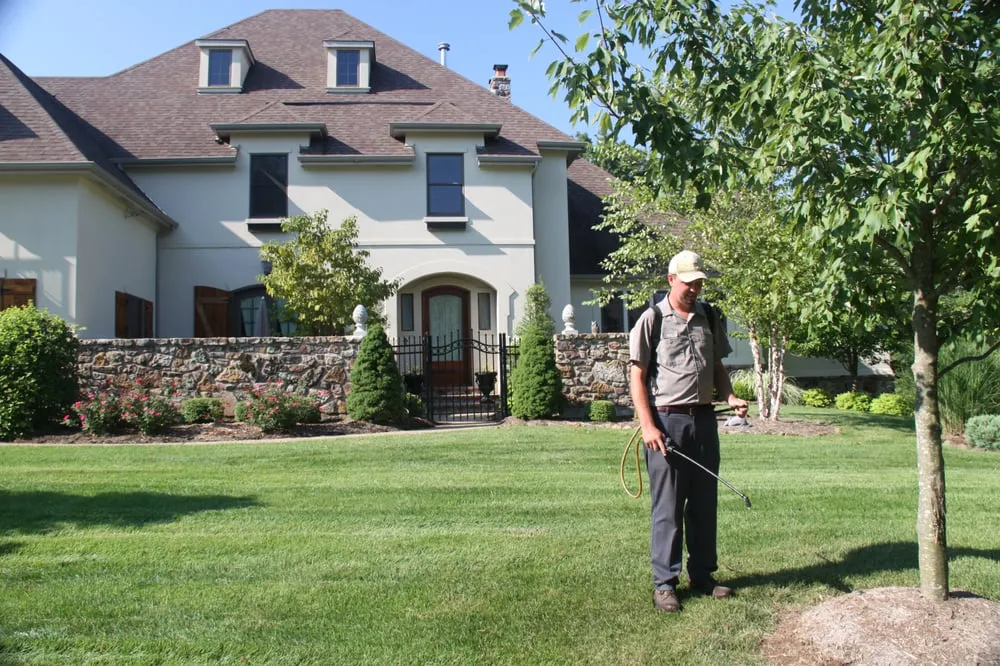 Trusted yard cleanup service in Chesterfield, MO - Dowco Enterprises