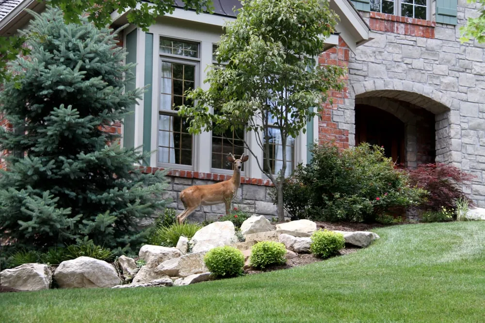 Expert garden landscaping in Chesterfield, MO by Dowco Enterprises