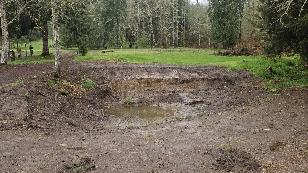 Expert landscaping services for residential properties in Olympia, WA by Down & Dirty Dirt Worx And Excavating