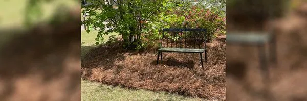 Down & Dirty Landscaping Logo