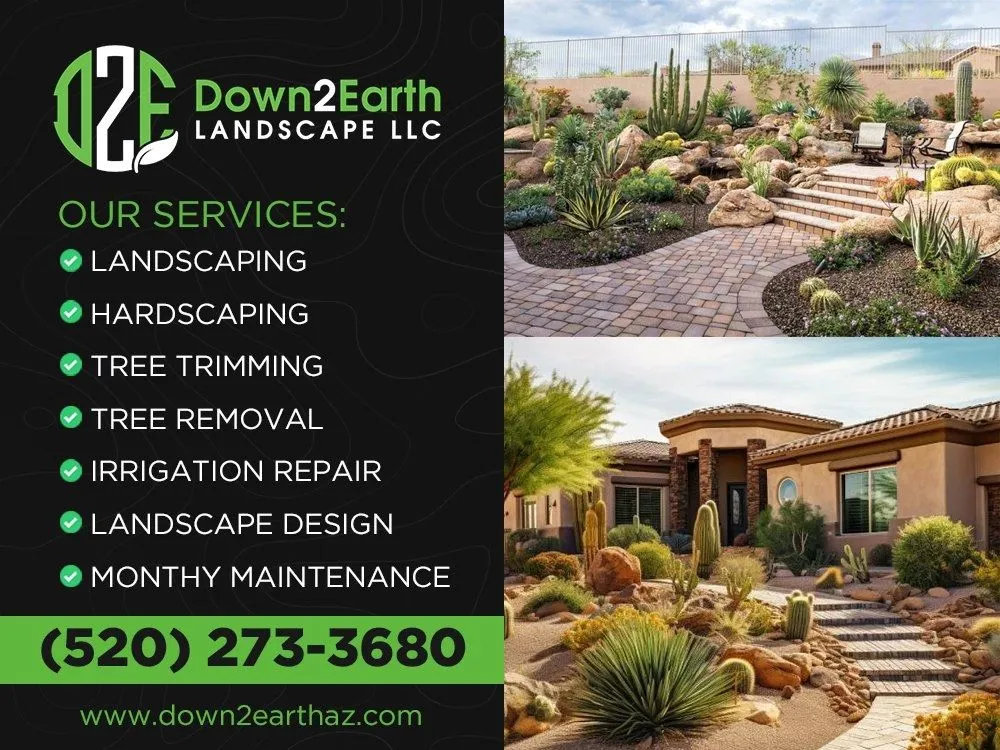 Expert landscape design in Tucson, AZ by Down 2 Earth Landscape