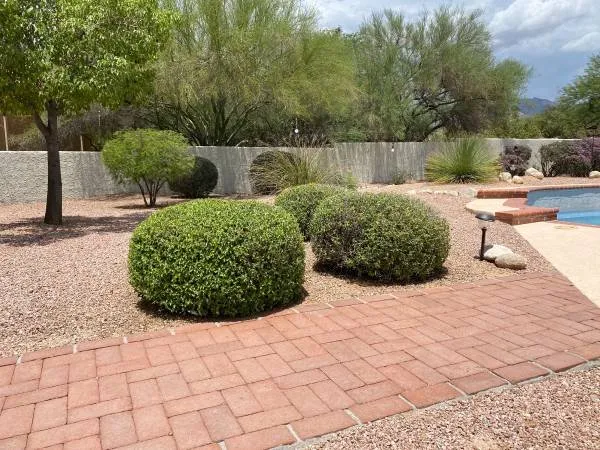 Affordable yard maintenance for outdoor upgrades across Tucson, AZ - Down 2 Earth Landscape