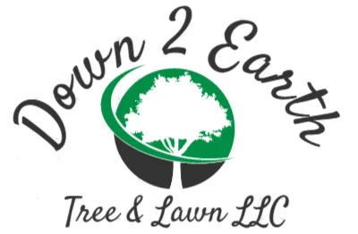 Affordable garden landscaping in Mannington, WV - Down 2 Earth