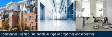 Down and Dirty Cleaning & Property Maintenance Logo