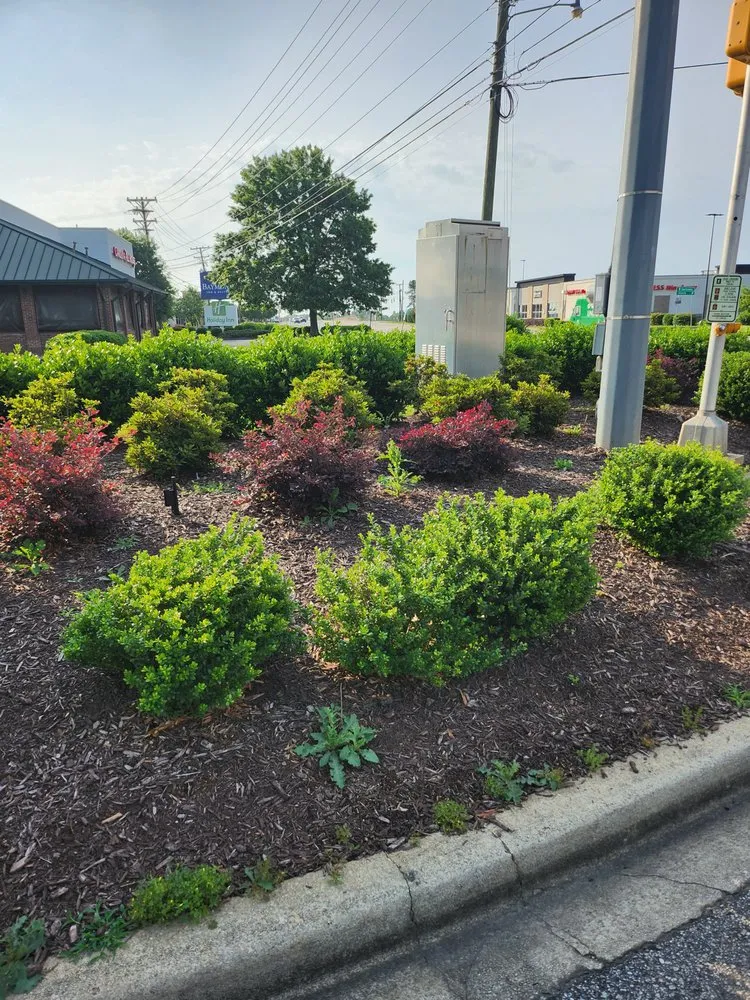 Local residential landscaping for year-round maintenance across Pendleton, SC - Down and Dirty Landscapes