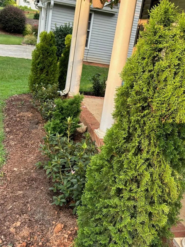 Top-rated landscape installation in Pendleton, SC - Down and Dirty Landscapes