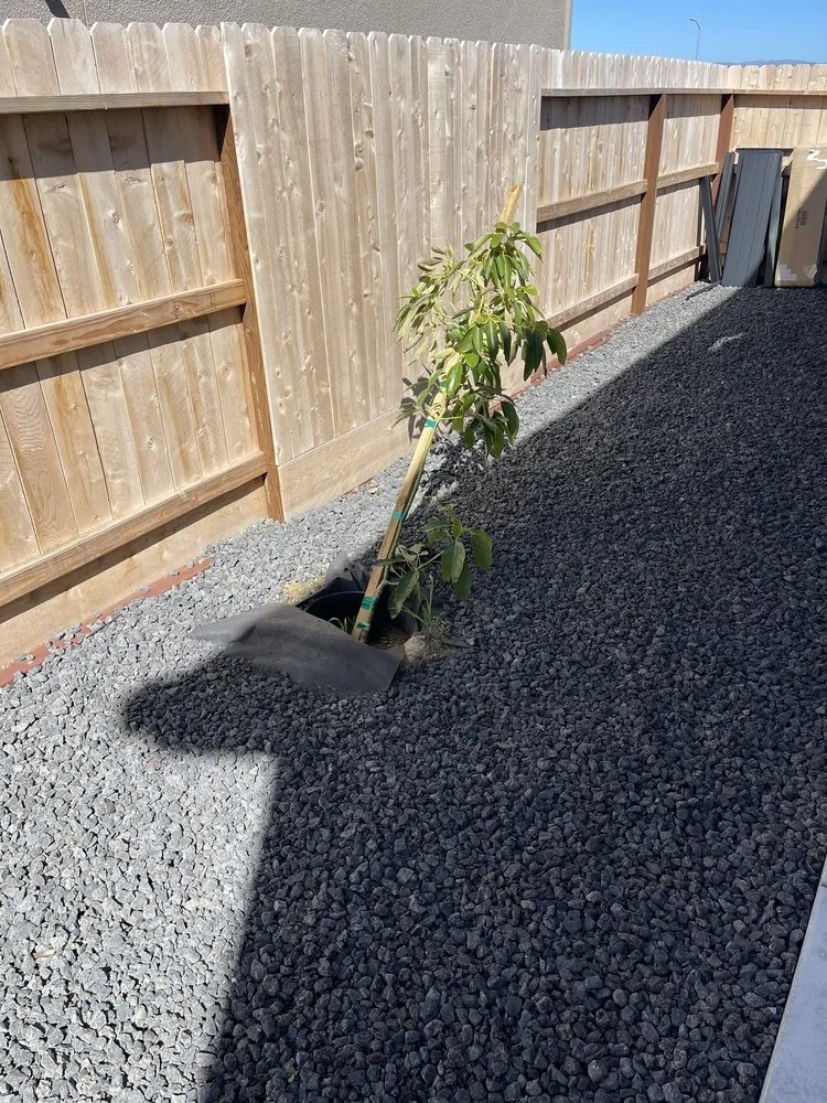 Local garden landscaping for outdoor upgrades in Santa Clara, CA by Down and Dirty Landscaping