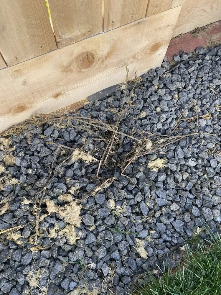 Reliable landscape installation in Santa Clara, CA by Down and Dirty Landscaping