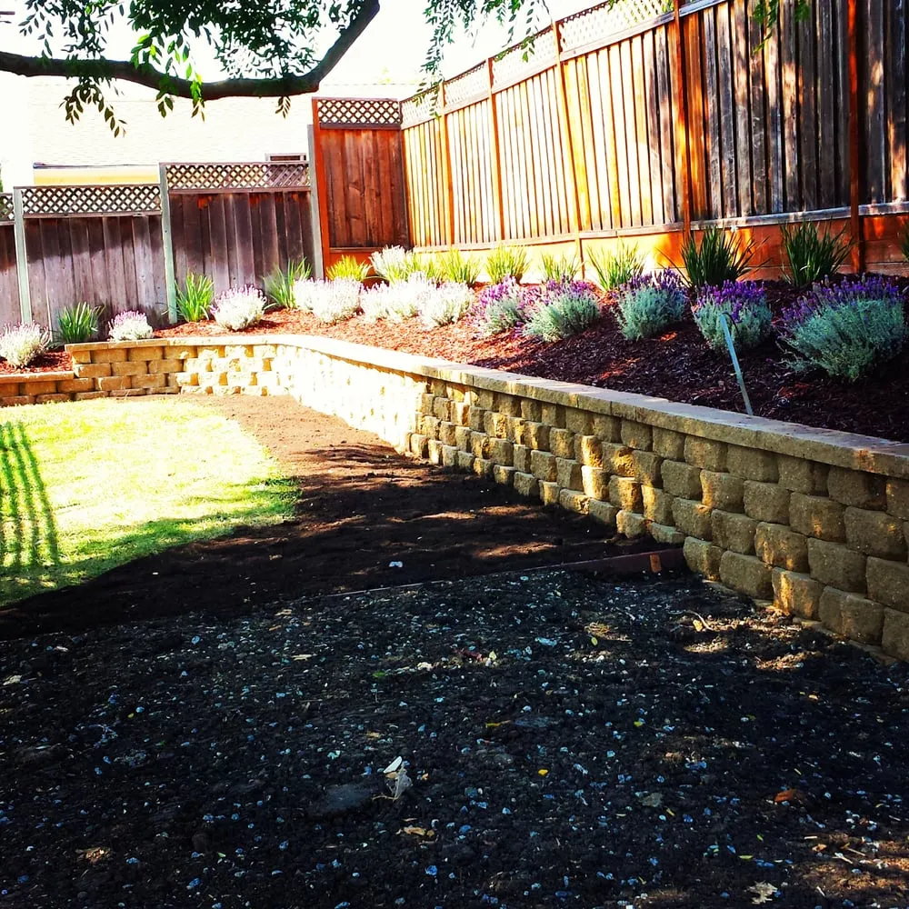 Professional yard maintenance in Santa Clara, CA - Down and Dirty Landscaping