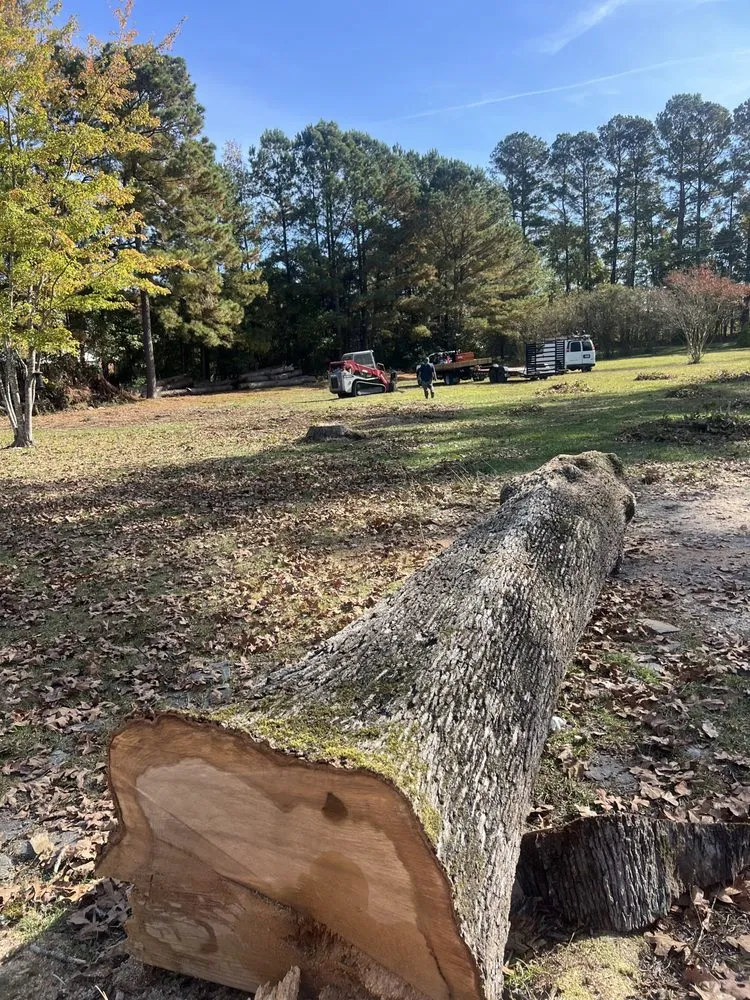 Reliable residential landscaping for year-round maintenance across Lumberton, NC - Down East Timber Solutions