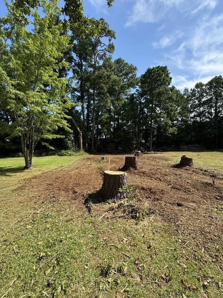 Expert landscape installation in Lumberton, NC - Down East Timber Solutions