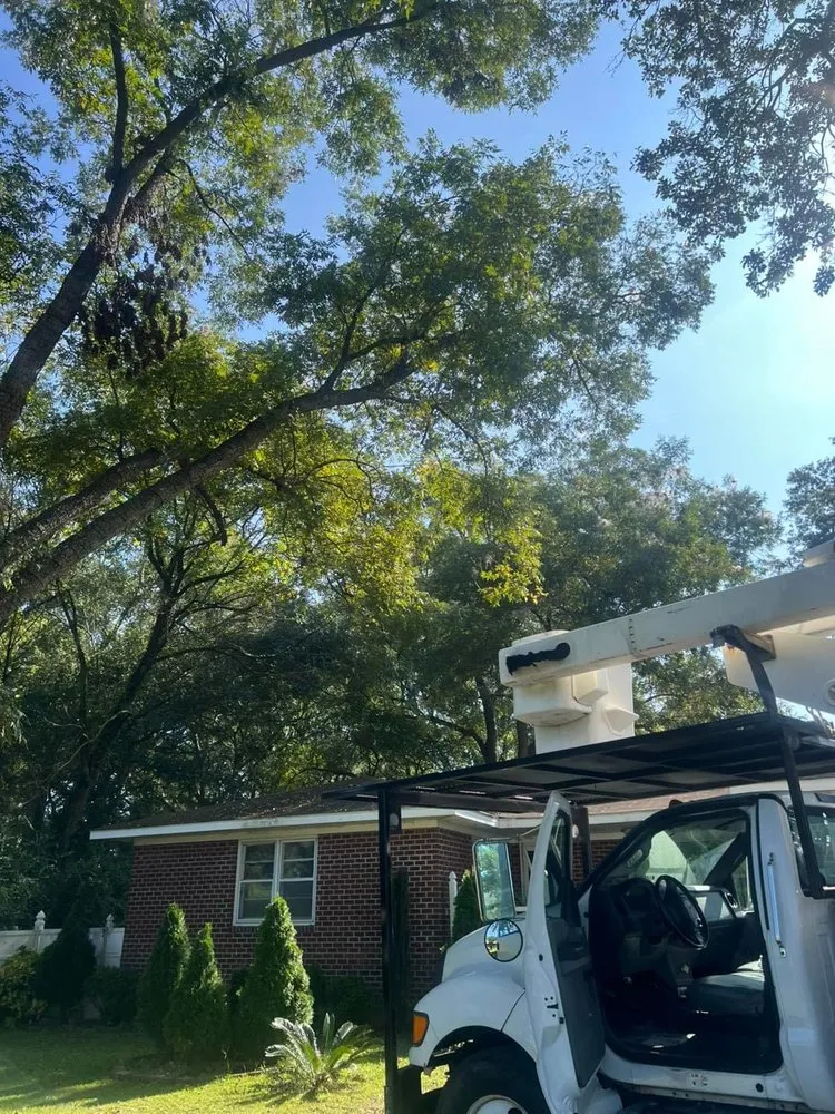 Reliable residential landscaping for residential properties in Lumberton, NC by Down East Timber Solutions