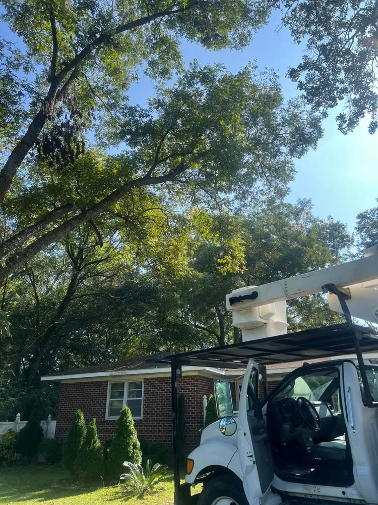 Custom yard maintenance in Lumberton, NC by Down East Timber Solutions