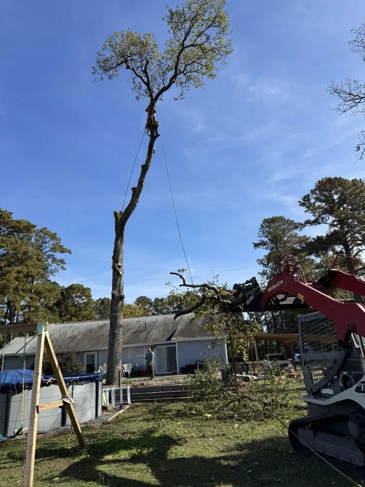 Trusted yard cleanup service near you in Lumberton, NC by Down East Timber Solutions