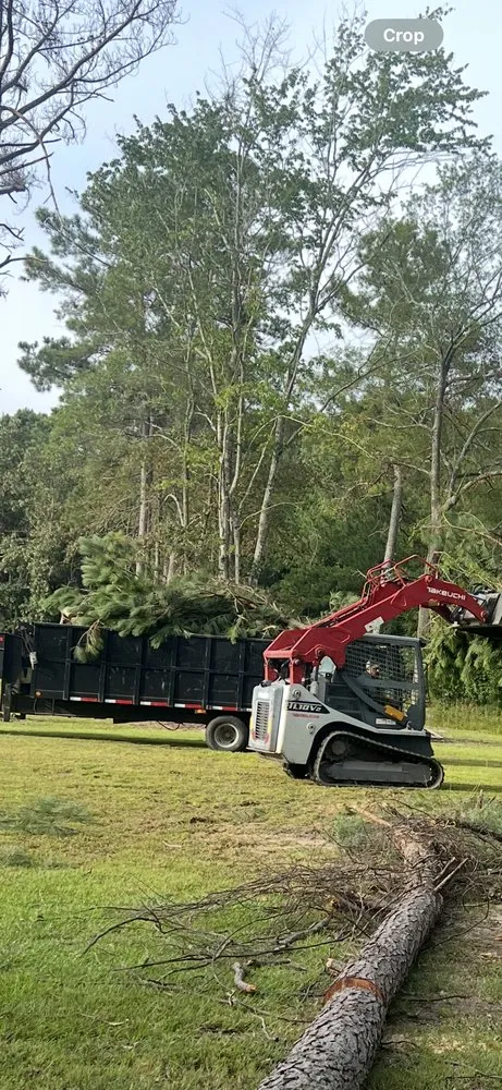 Trusted lawn care service in Lumberton, NC by Down East Timber Solutions