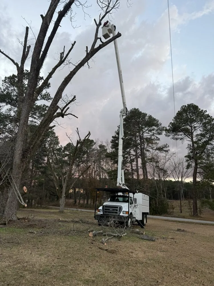 Professional outdoor landscaping for outdoor upgrades in Lumberton, NC by Down East Timber Solutions