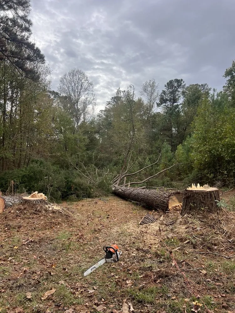 Top-rated residential landscaping experts serving Lumberton, NC - Down East Timber Solutions