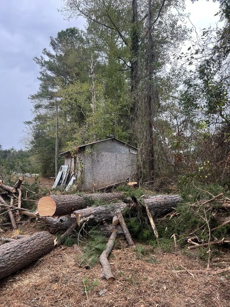 Custom lawn mowing service in Lumberton, NC - Down East Timber Solutions