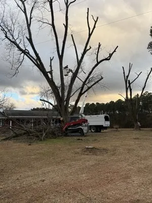 Down East Timber Solutions