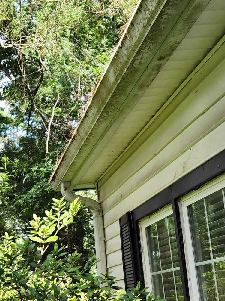 Trusted yard cleanup service in Natchitoches, LA by Down Pressure Power Washing