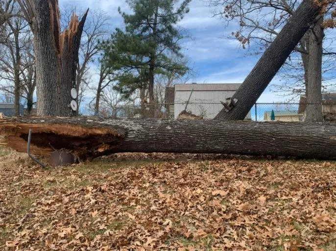 Custom landscaping services in Fayetteville, AR - Down Rite Tree Service