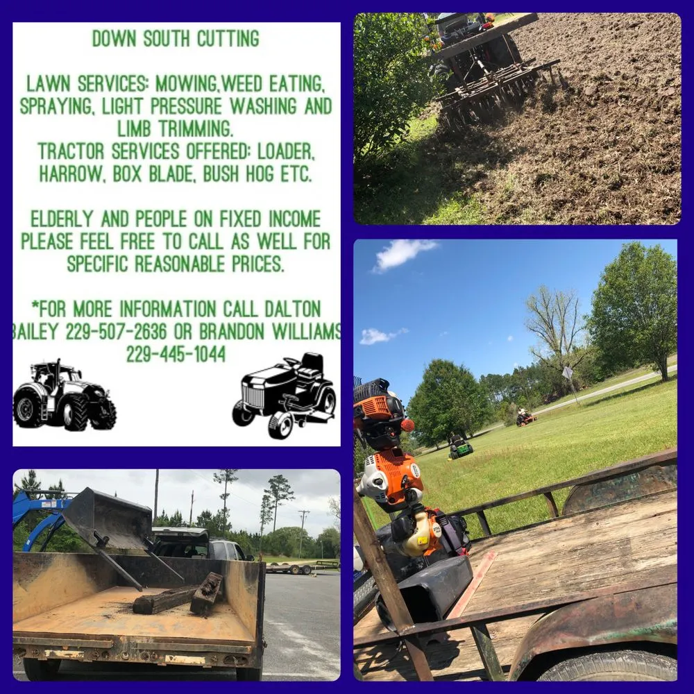 Local residential landscaping for year-round maintenance across Birmingham, AL - Down South Cutting