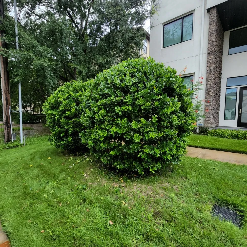 Reliable lawn mowing service experts serving Houston, TX - Down South Farms