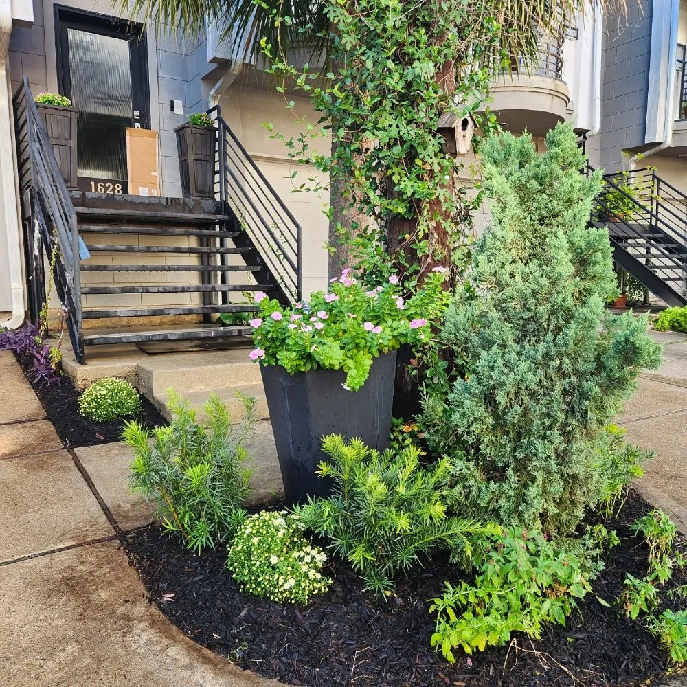 Custom yard maintenance in Houston, TX by Down South Farms