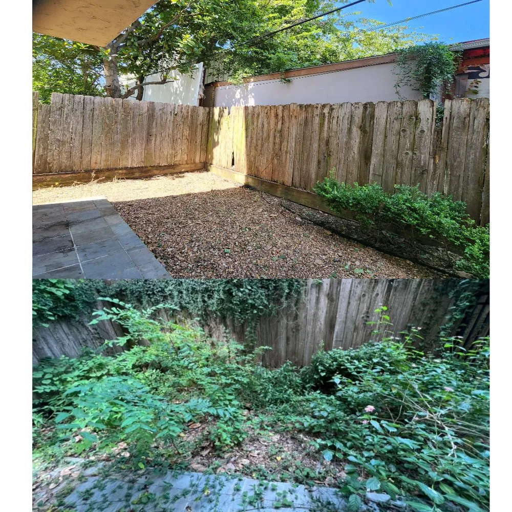 Expert yard maintenance experts serving Houston, TX - Down South Farms