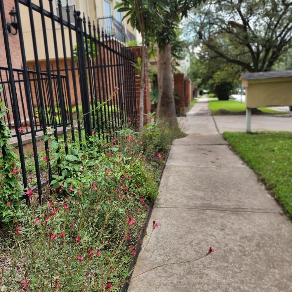 Top-rated lawn mowing service for residential properties in Houston, TX by Down South Farms