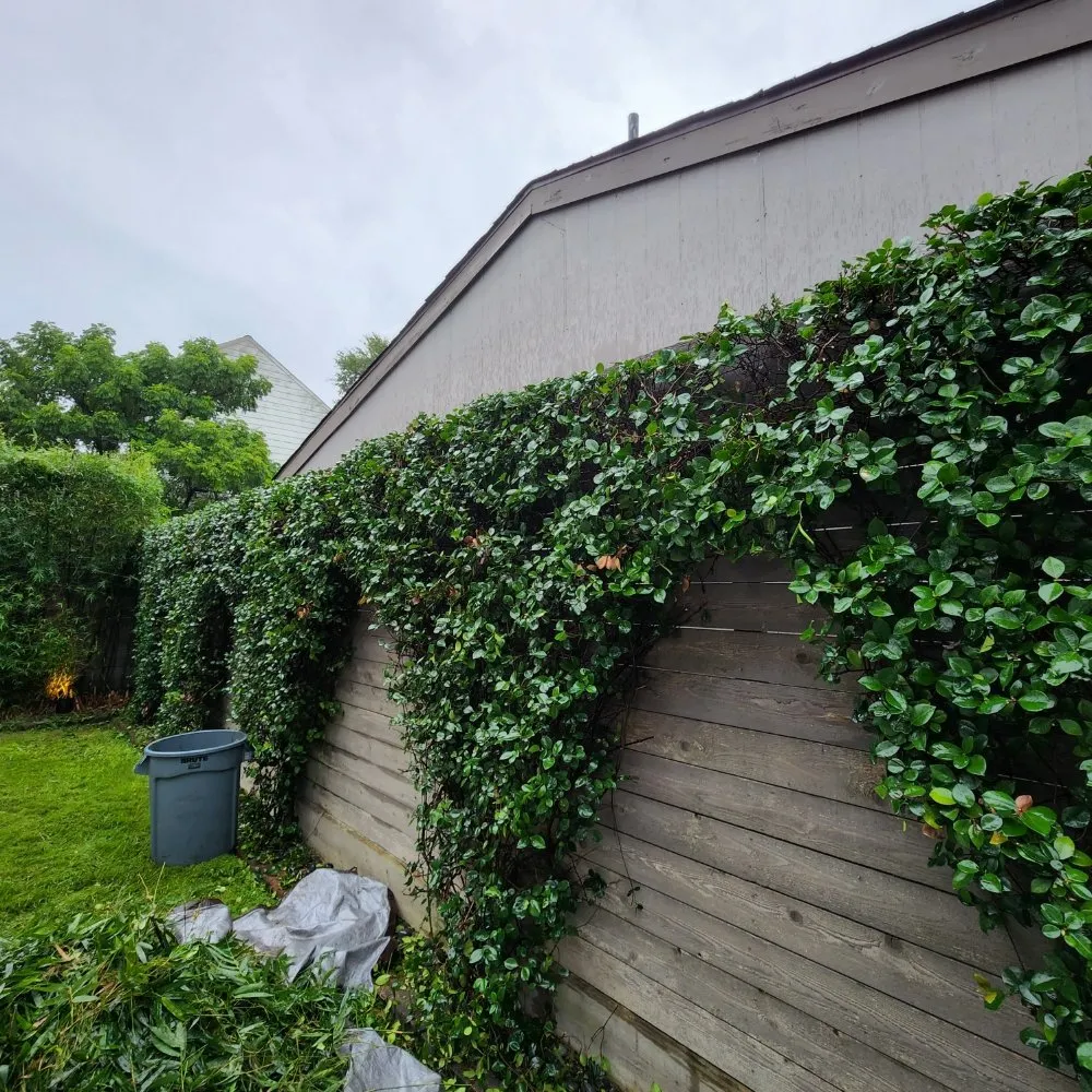 Top-rated garden landscaping experts serving Houston, TX - Down South Farms