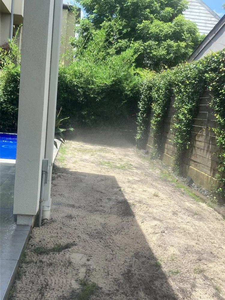 Expert yard cleanup service in Houston, TX - Down South Farms