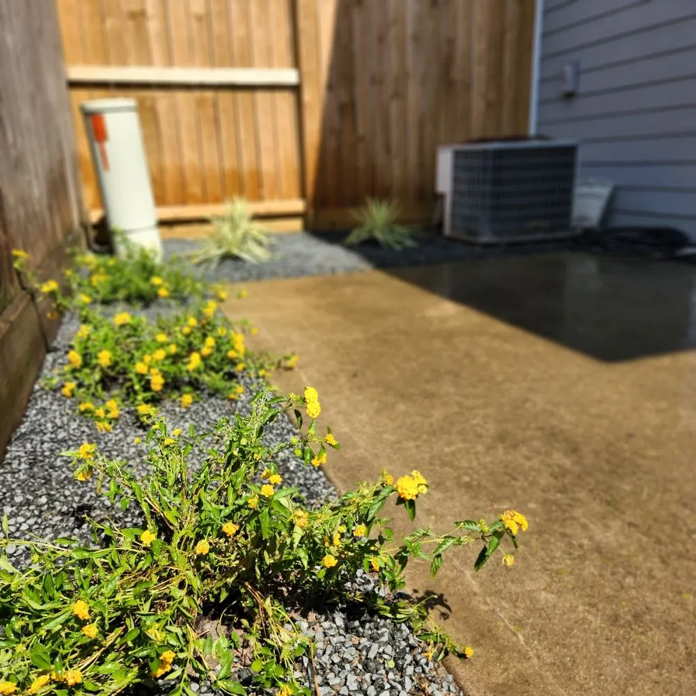 Trusted lawn mowing service in Houston, TX by Down South Farms