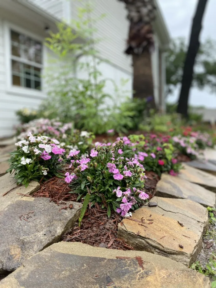 Reliable lawn care service for residential properties in Houston, TX by Down South Farms