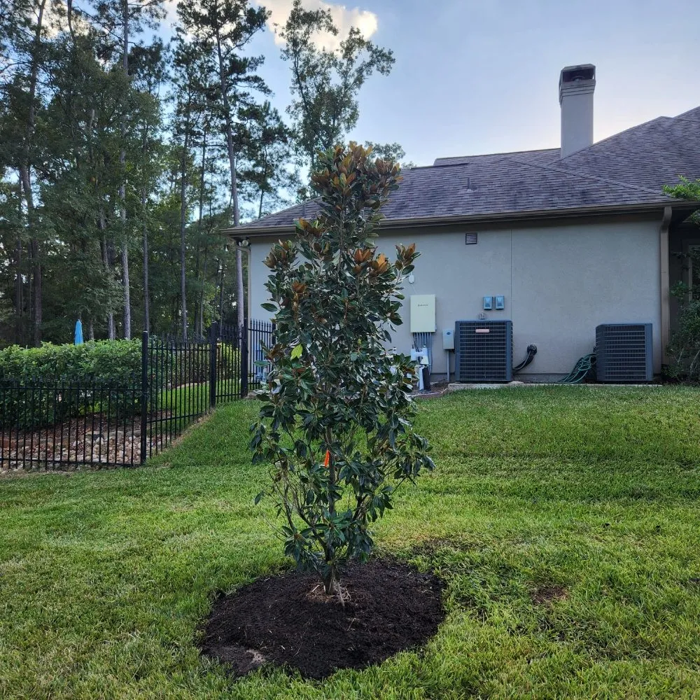 Trusted yard maintenance in Houston, TX - Down South Farms