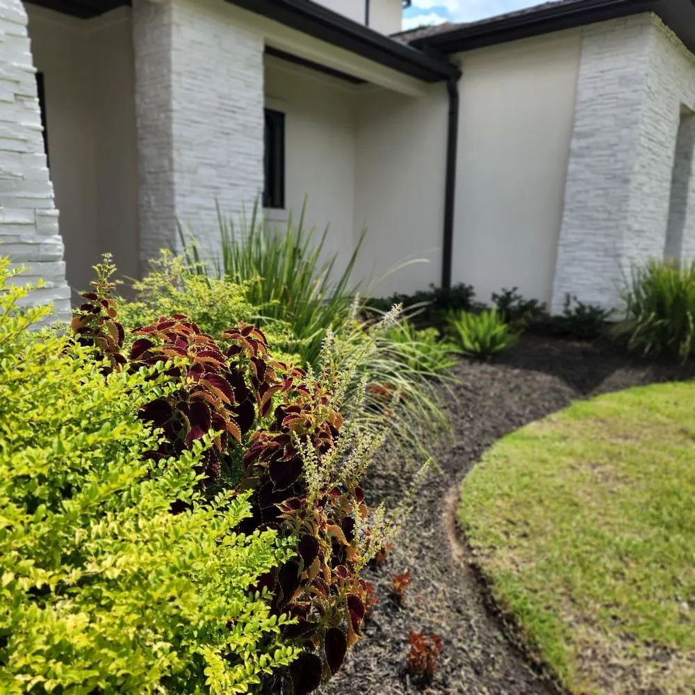 Reliable landscape installation experts serving Houston, TX - Down South Farms