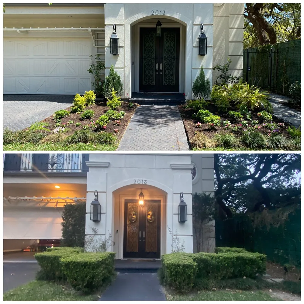 Expert yard cleanup service in Houston, TX - Down South Farms