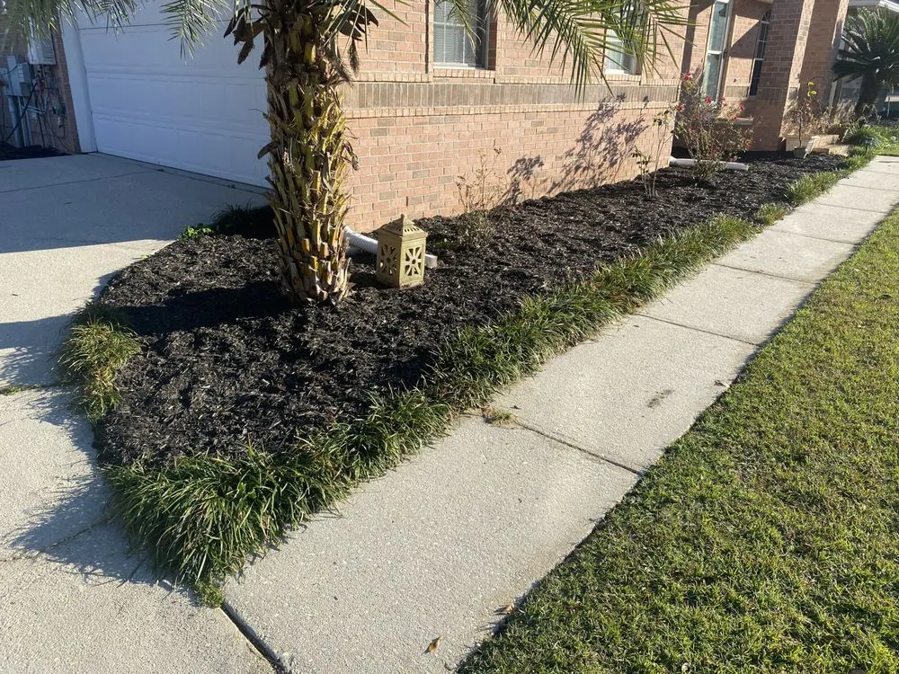 Professional yard cleanup service experts serving Perdido Beach, AL - Down South Landscape & Moving
