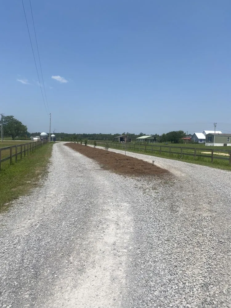 Local landscaping services with custom design across Perdido Beach, AL - Down South Landscape & Moving