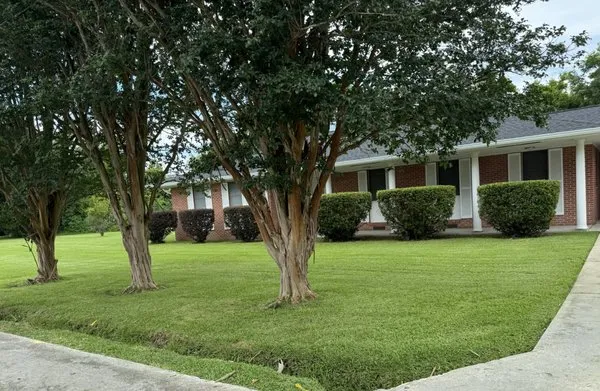 Down South Landscaping Logo