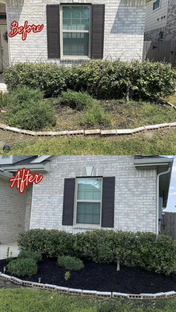 Expert landscape installation in Houston, TX - Down South Landscaping