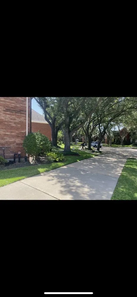 Affordable yard maintenance with custom design across Houston, TX - Down South Landscaping