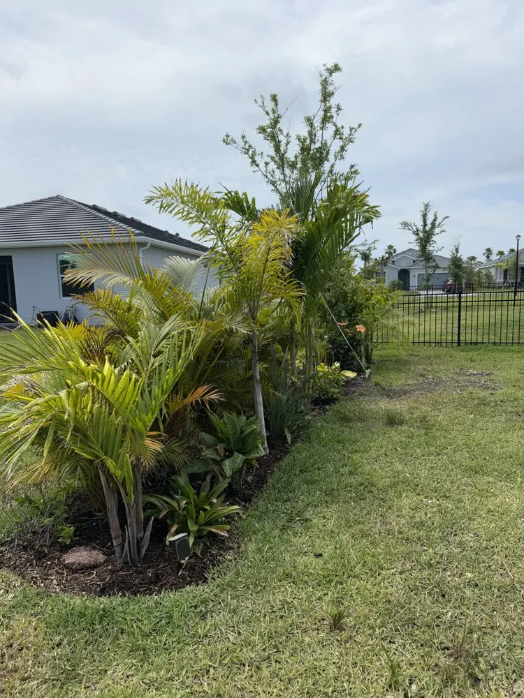 Top-rated residential landscaping in Venice, FL by Down South Landscaping
