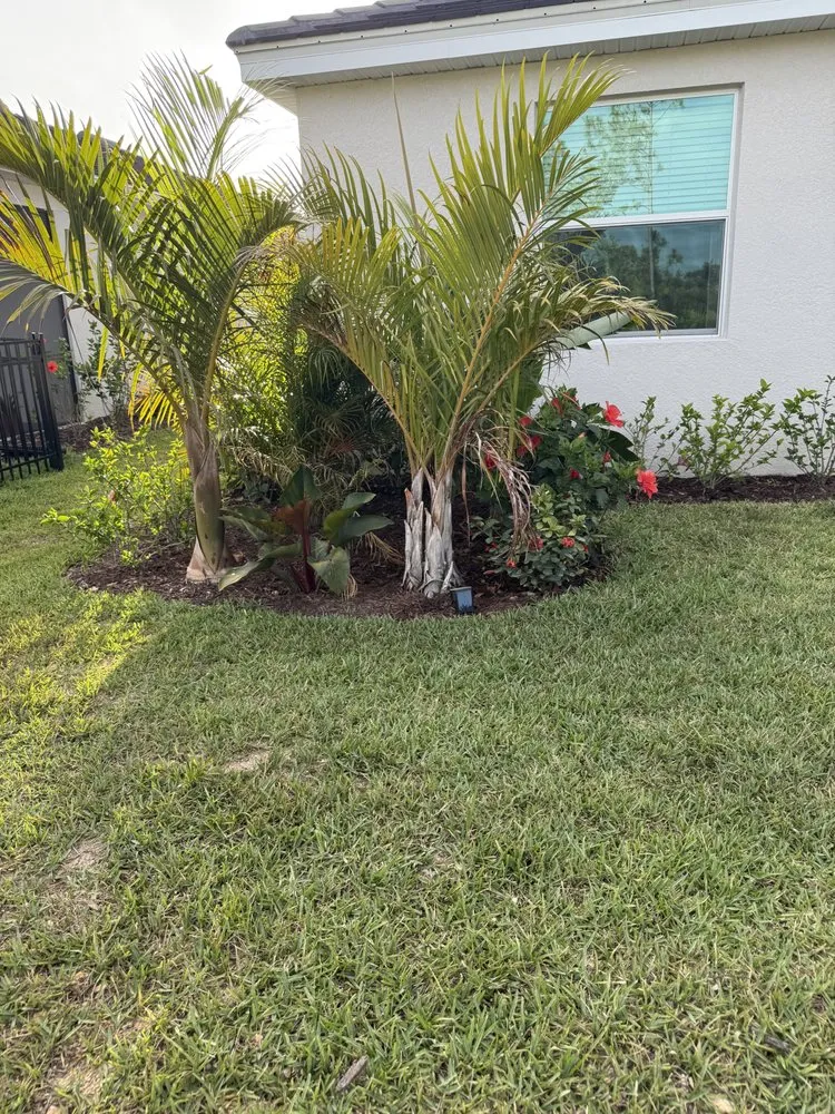 Trusted outdoor landscaping for beautiful yards across Venice, FL - Down South Landscaping