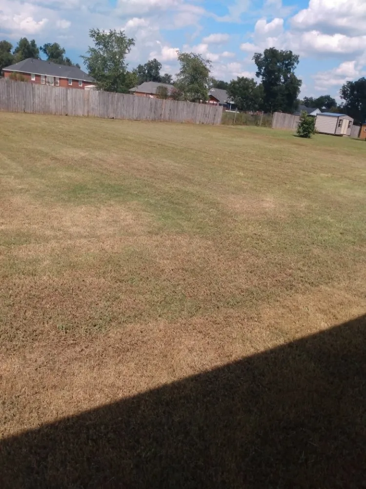 Expert lawn mowing service in Moultrie, GA - Down South Lawn and Maintenance