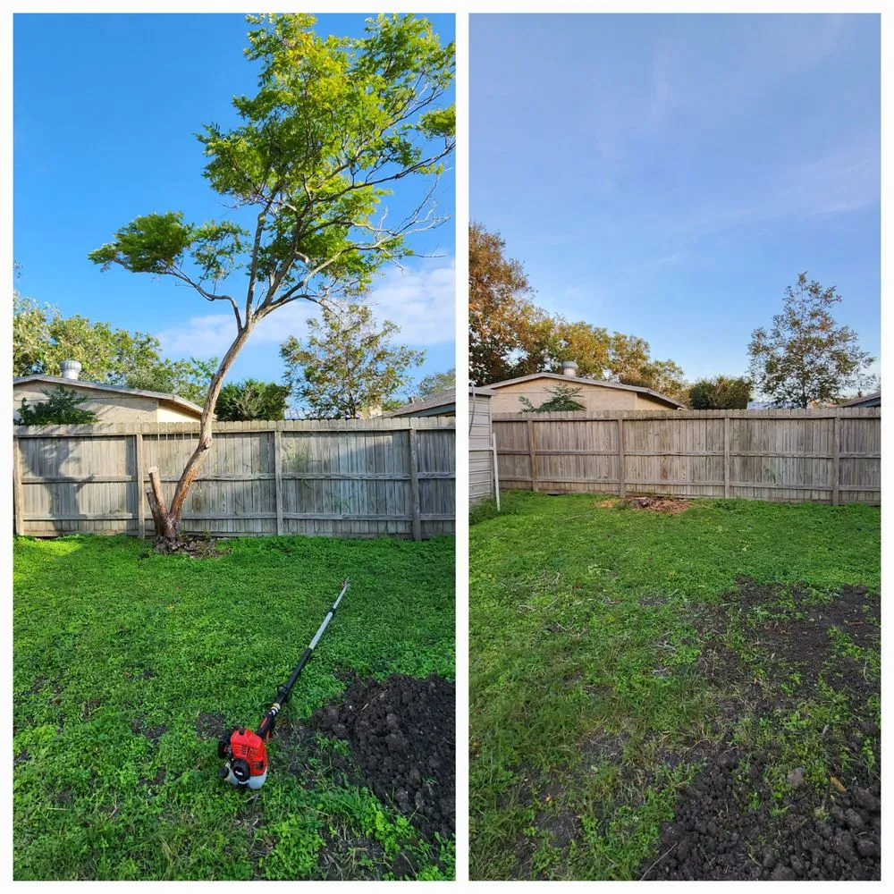 Top-rated yard maintenance in Corpus Christi, TX - Down South Lawn Services