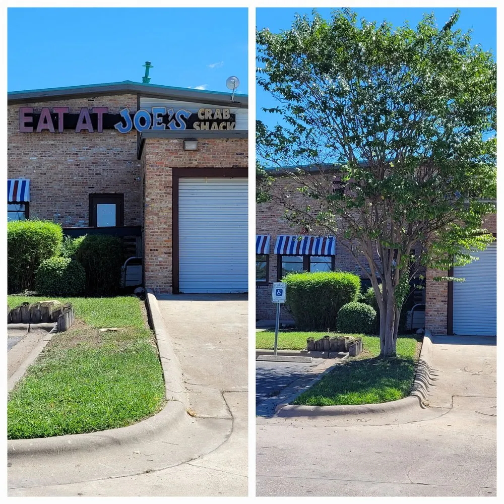 Reliable residential landscaping in Corpus Christi, TX by Down South Lawn Services