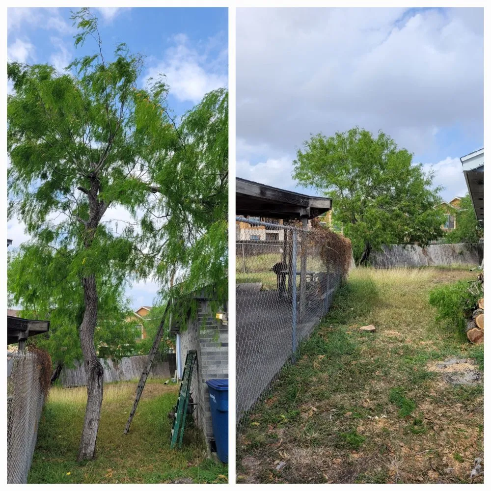 Top-rated landscape design in Corpus Christi, TX by Down South Lawn Services