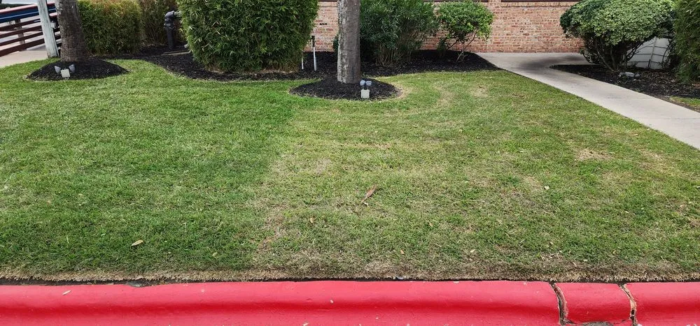 Top-rated lawn mowing service for year-round maintenance across Corpus Christi, TX - Down South Lawn Services