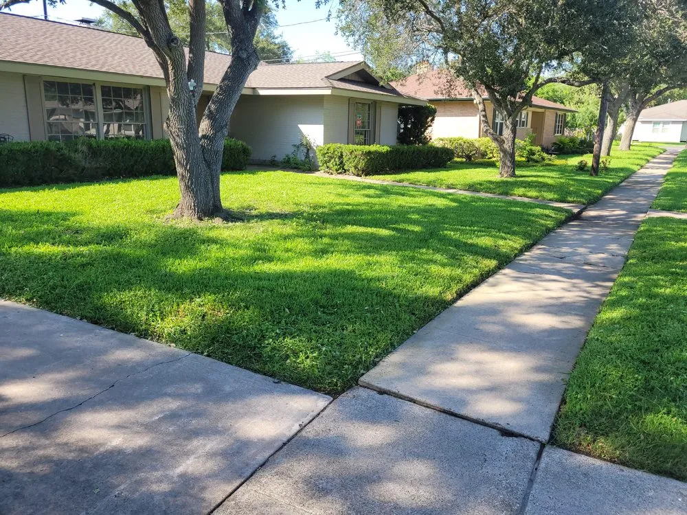 Reliable yard cleanup service for residential properties across Corpus Christi, TX - Down South Lawn Services